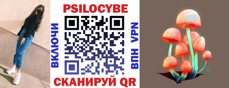 Псилоцибиновые грибы прущие грибы  Красный Холм 